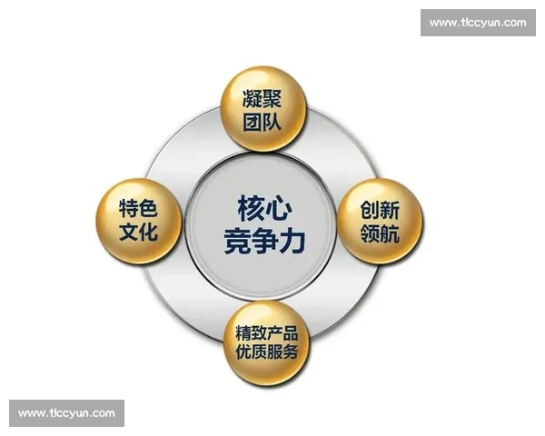 以核心优势为驱动全面拓展企业竞争力与市场影响力策略